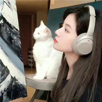 为了一句话
